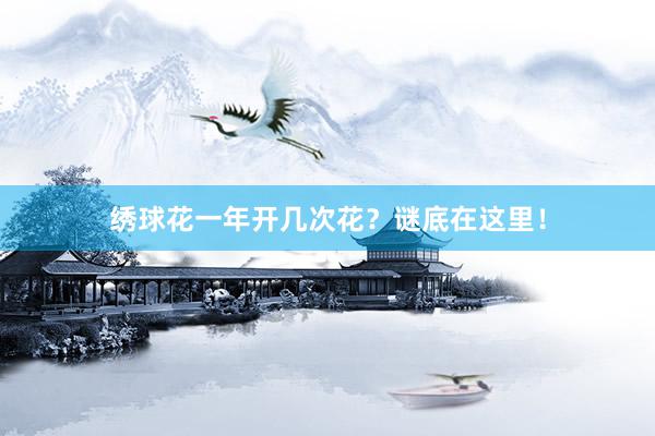 绣球花一年开几次花？谜底在这里！